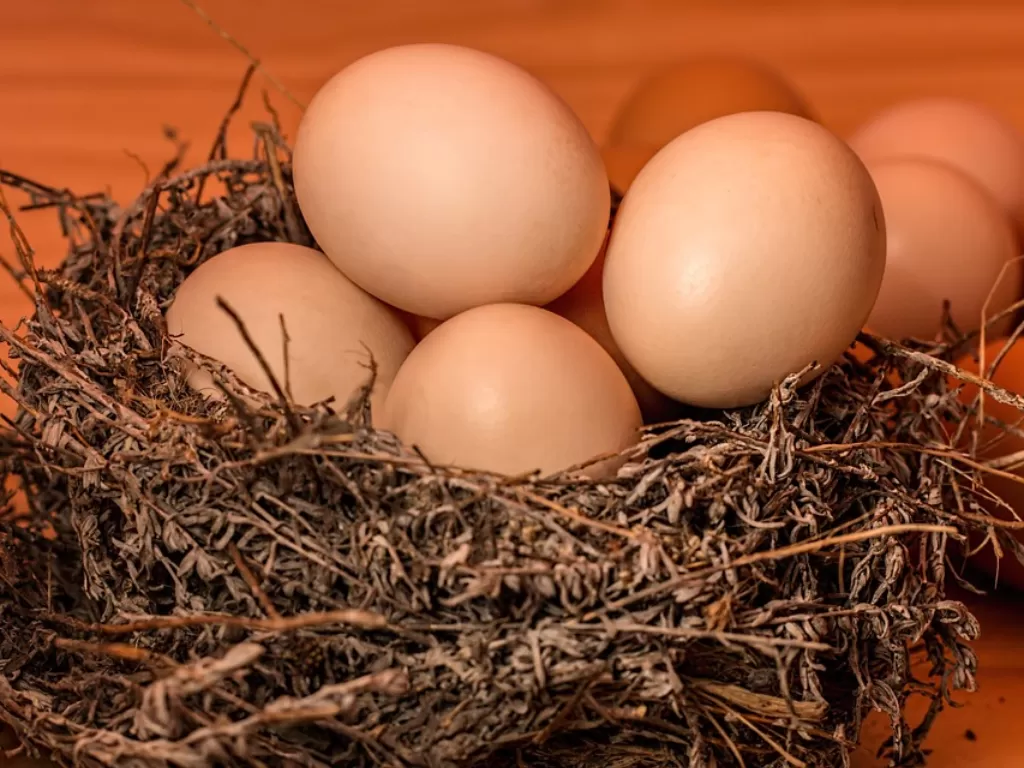 Ilustrasi telur matang. (Pixabay/Stevepb)