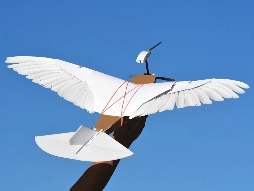 Drone burung buatan ilmuwan dari Stanford University (photo/DigitalTrends)