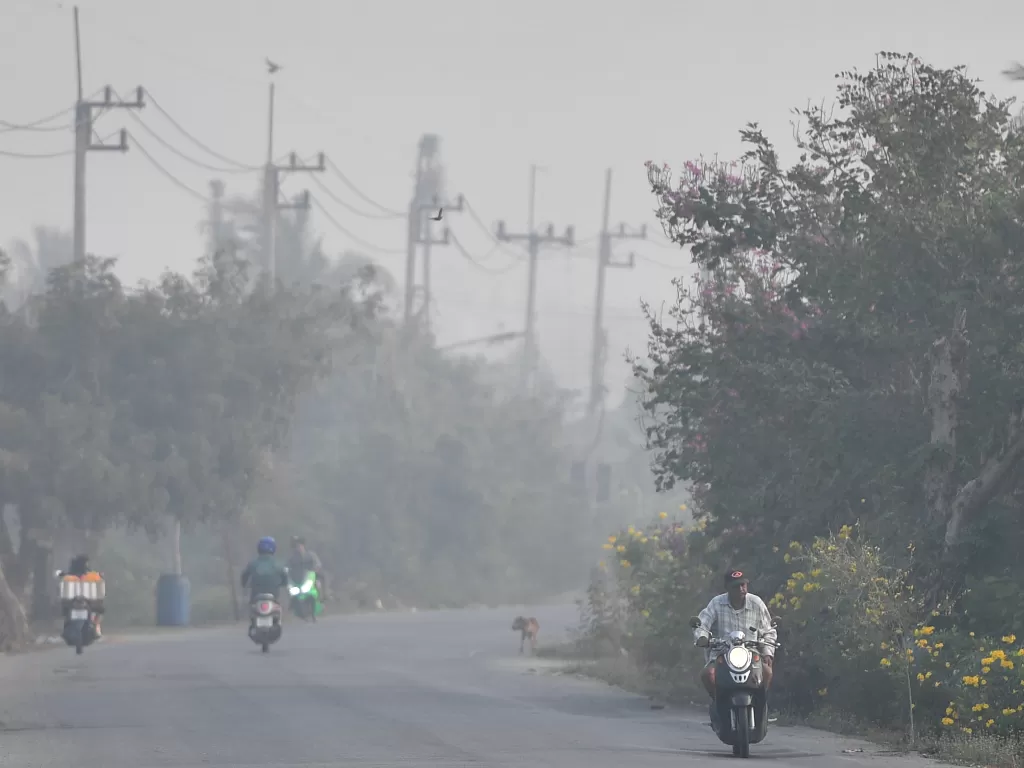 Sebuah jalan terlihat dengan kabut asap di sebelah perkebunan tebu di provinsi Suphan Buri, utara Bangkok, Thailand. (photo/REUTERS/Chalinee Thirasupa)