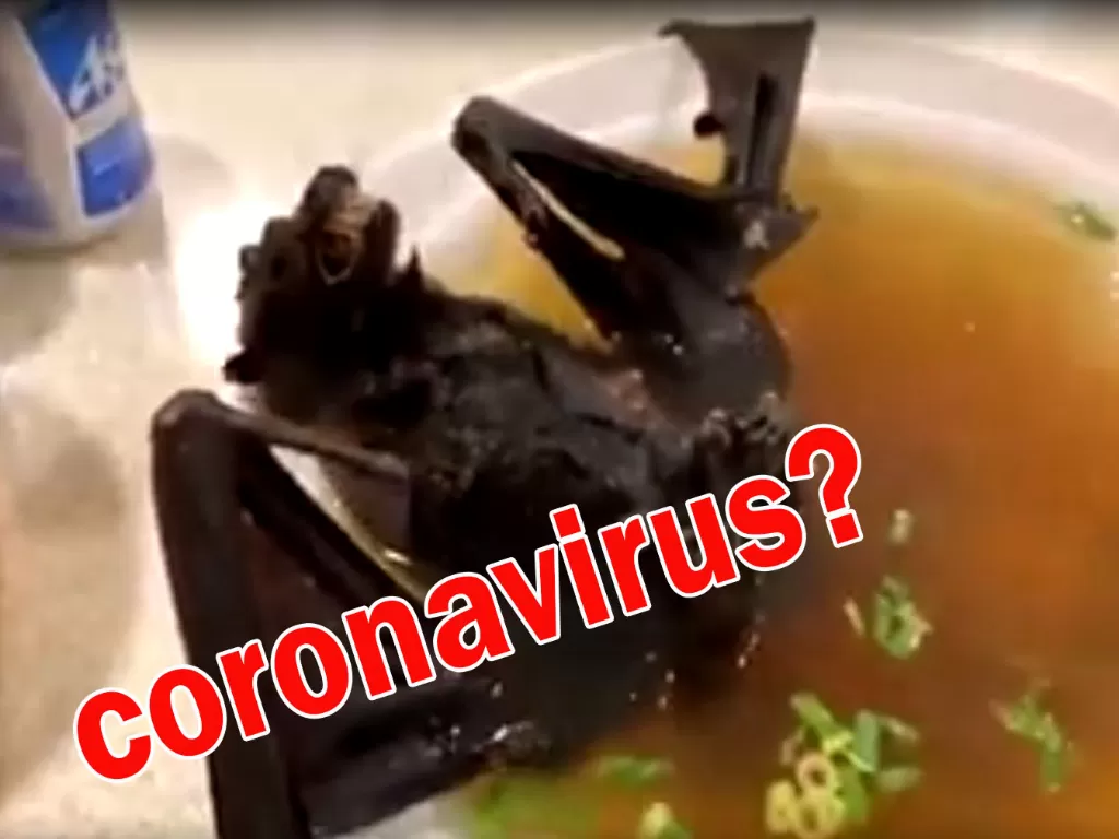 Sup Kelelawar diduga menjadi sumber dari virus korona. (Istimewa)