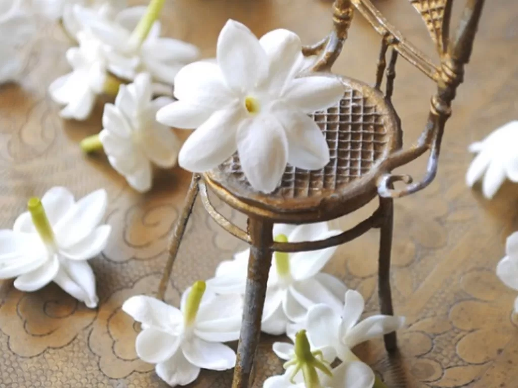 Bunga melati putih (flickr.com)