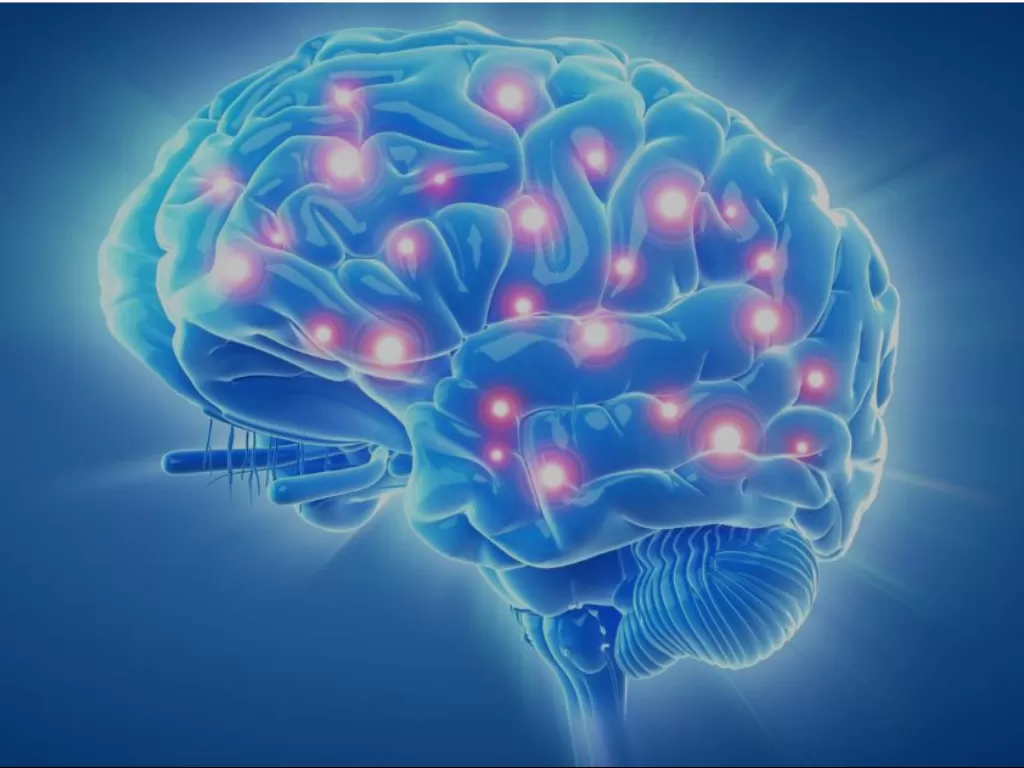 Ilustrasi dopamine yang diproduksi di dalam otak. (mellowbydesign.com) 