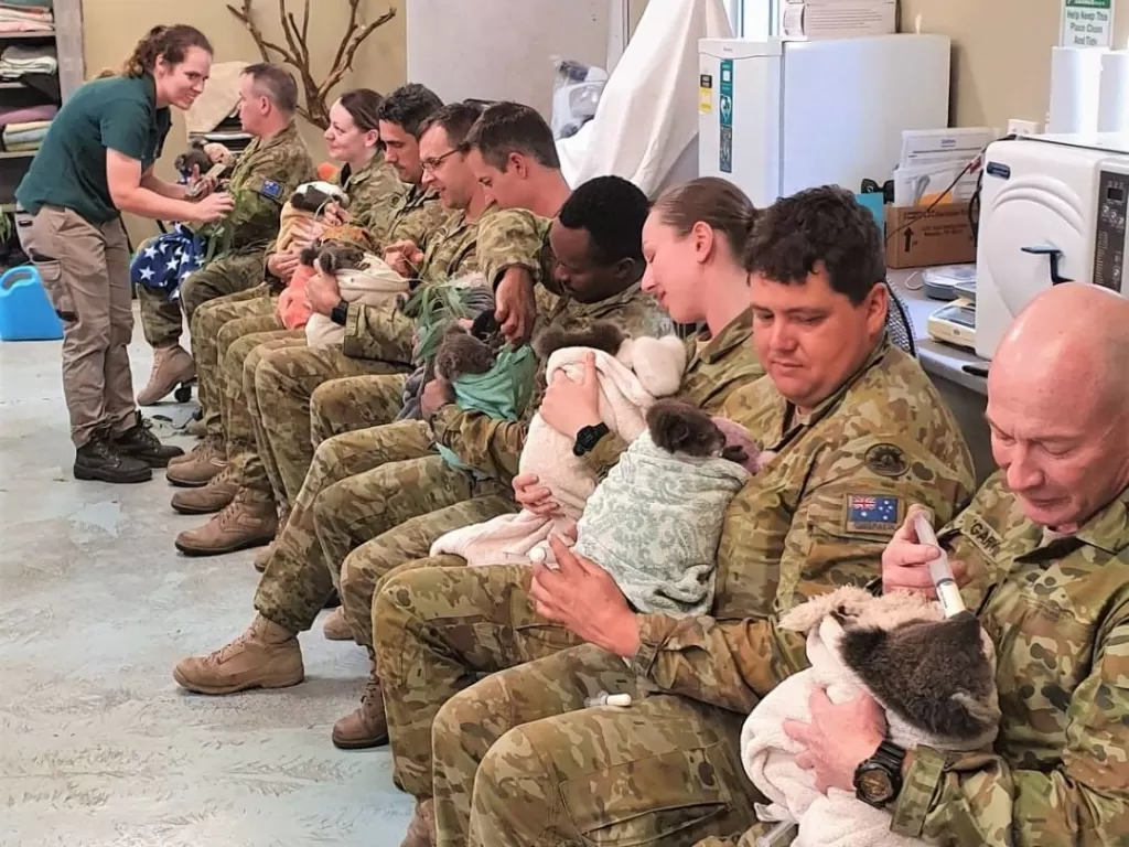 Momen tentara Australia menyampatkan waktu untuk mendatangi Koala. (photo/Instagram/@australianarmy)