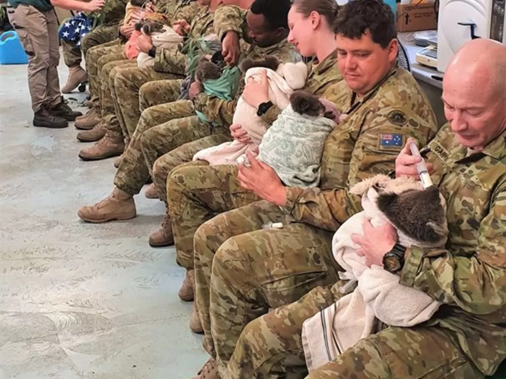 Sejumlah prajurit tentara Australia memilih menggunakan waktu cuti untuk merawat koala korban kebakaran hutan. (Facebook/Australian Army)