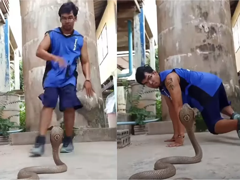 Pria menari di depan ular kobra (Screenshot/YouTube/Viral Press)