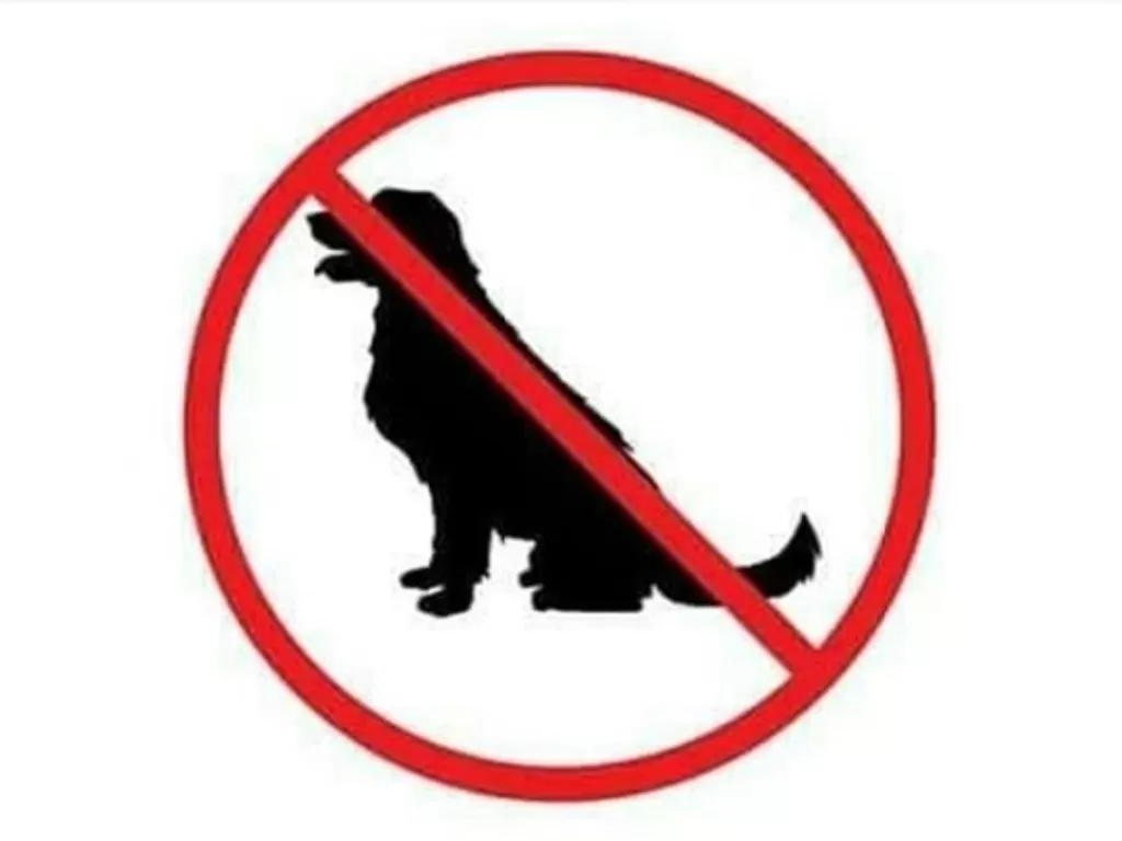 Ilustrasi daging anjing tidak layak untuk dikonsumsi (Instagram/@rescue_bdl)
