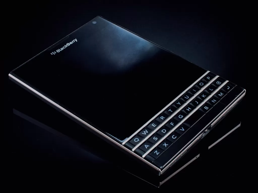 Blackberry (Unsplash)