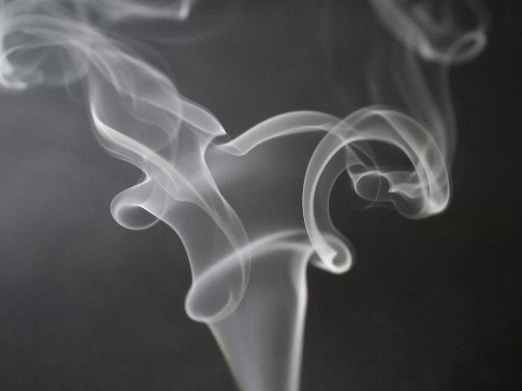 Ilustrasi kanker paru-paru (Pixabay/Tookapic)