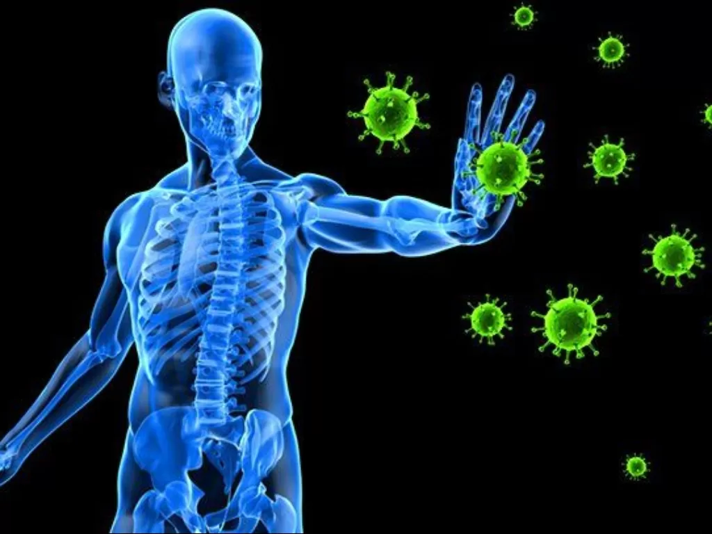 ilustrasi tubuh menangkal serangan virus (Thailand Medical News)