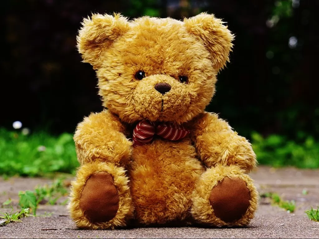 Ilustrasi Teddy Bear. (Pixabay/Alexas_Fotos)