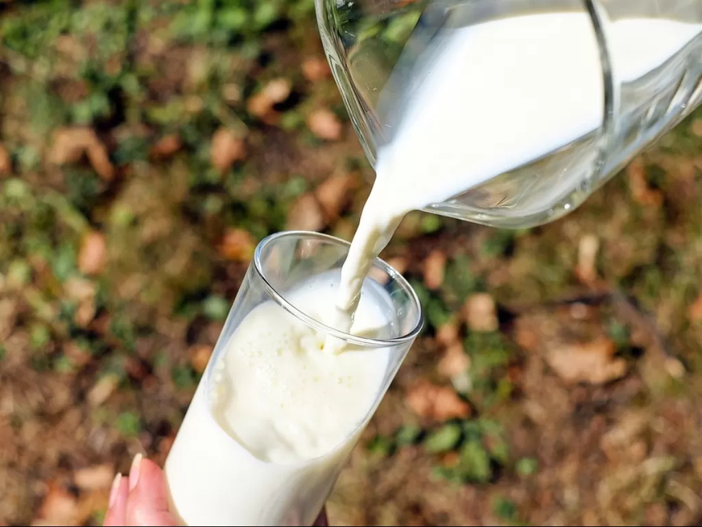 Ilustrasi minum susu setelah  menyantap makanan pedas. (Pixabay/Couleur)