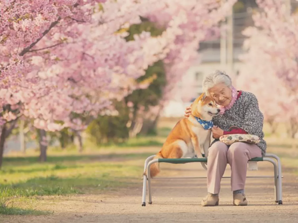 Potret manis nenek dan anjing kecilnya (yasuto/Boredpanda)