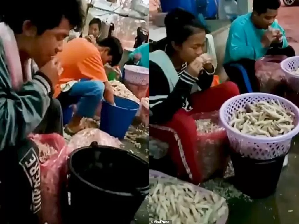 Para pekerja mengupas ceker ayam dengan mulut (Viral Press)