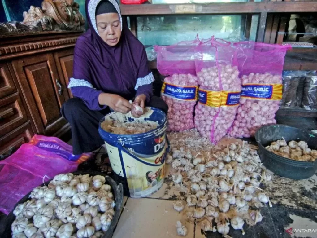 Ilustrasi. Pedagang membersihkan bawang putih di salah satu kios Pasar Pagi, Tegal, Jawa Tengah, Senin (10/2). photo/ANTARA FOTO/Oky Lukmansyah
