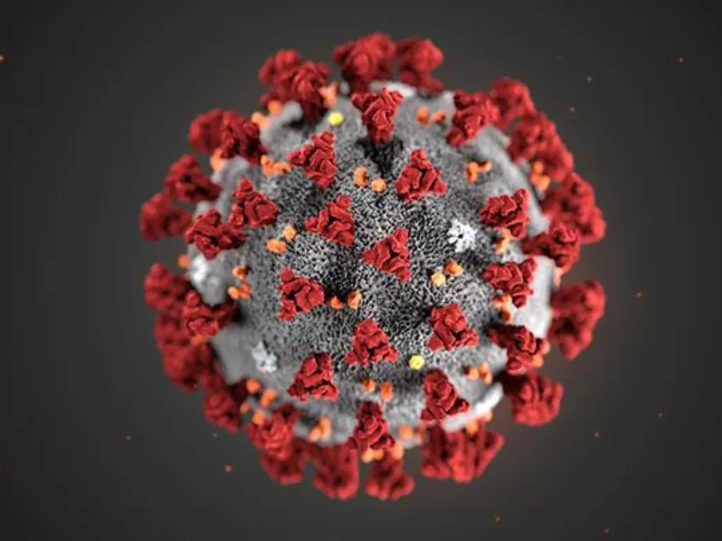 Ilustrasi virus korona. (REUTERS/CDC)