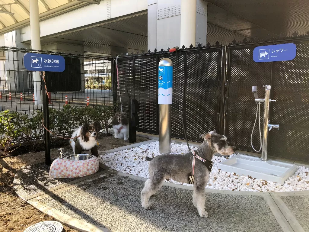 Toilet anjing pertama yang dibuka di bandara di Jepang, di Bandara Internasional Osaka. (photo/REUTERS/KANSAI AIRPORTS)