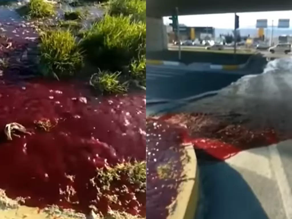 Fenomena 'banjir darah' di Turki (YouTube/Nanny sa abudhabi)