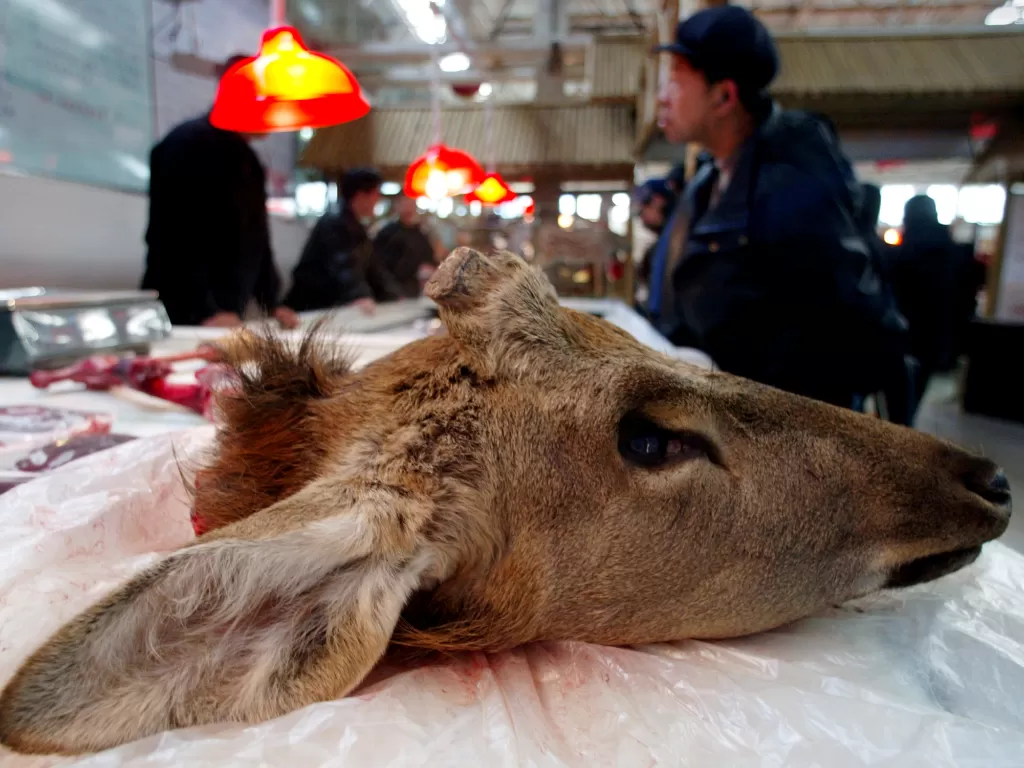Kepala rusa yang dijajakan seorang pedagang pasar basah khusus menjual daging hewan liar di Beijing, Tiongkok pada 20 November 2002. (REUTERS/Guang Niu)