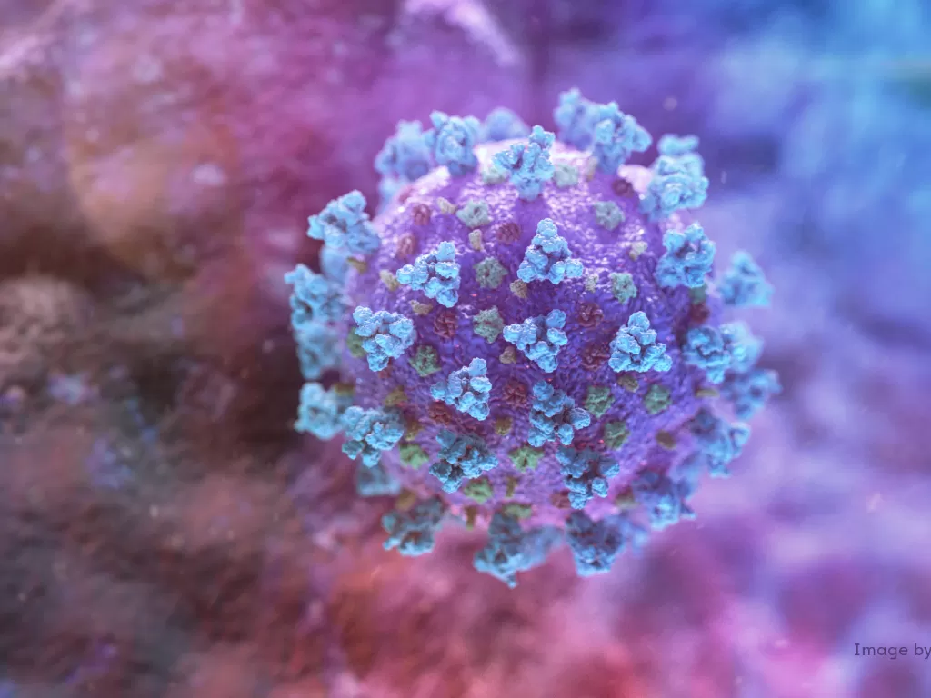Virus corona (NEXU Science Communication/via REUTERS)