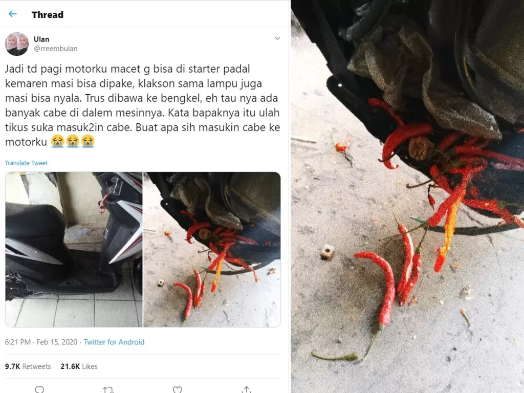 Mesin motor mati karena dipenuhi cabai (Twitter/@rreembulan)