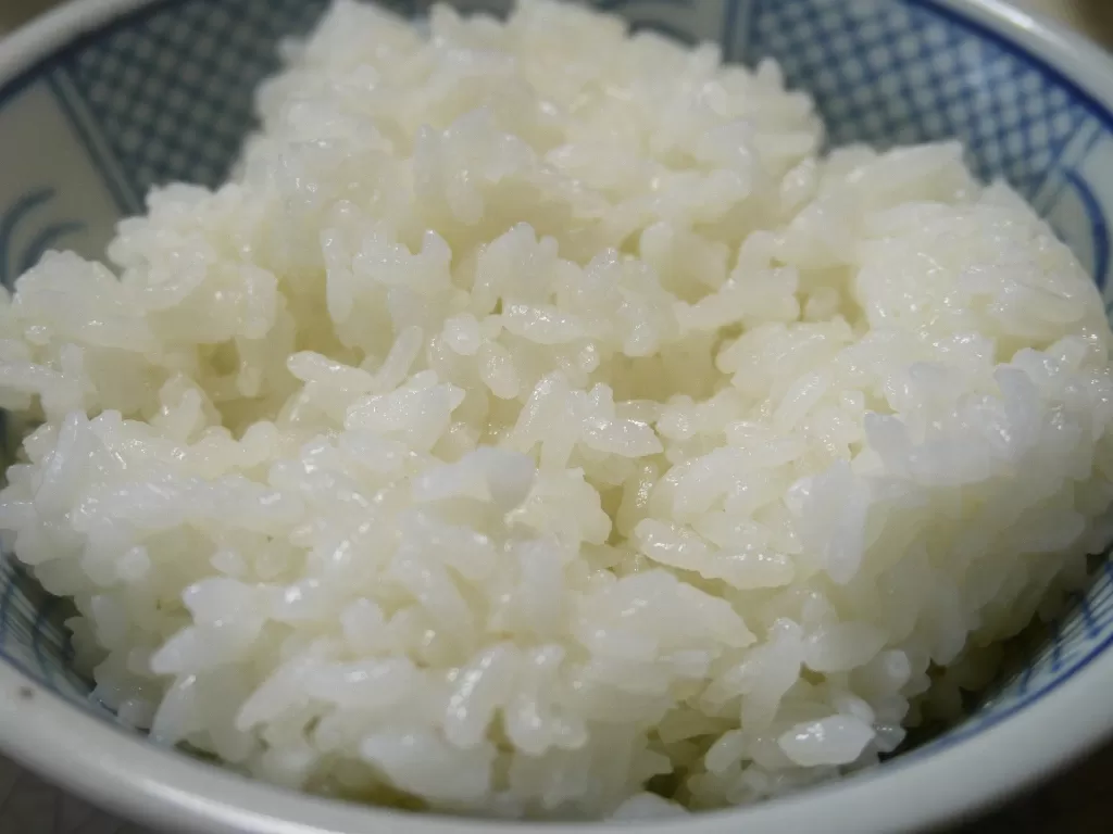Nasi dingin (Pixabay/Mamoru Masumoto)