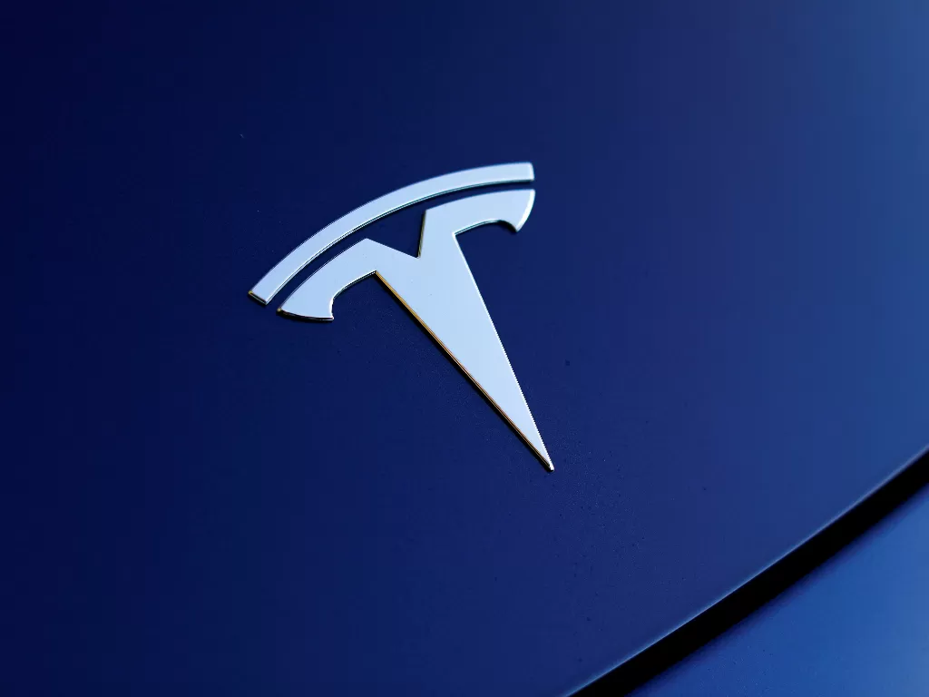 Tesla Logo. (REUTERS/Mike Blake)
