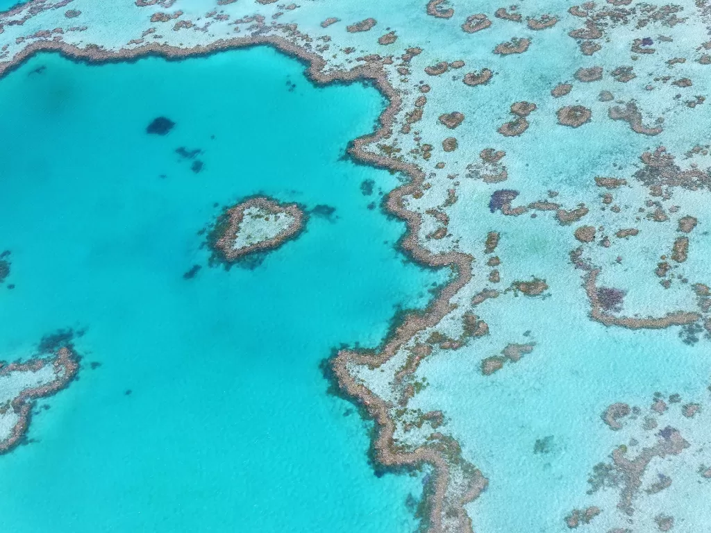 Great Barrier Reef. (Pixabay)