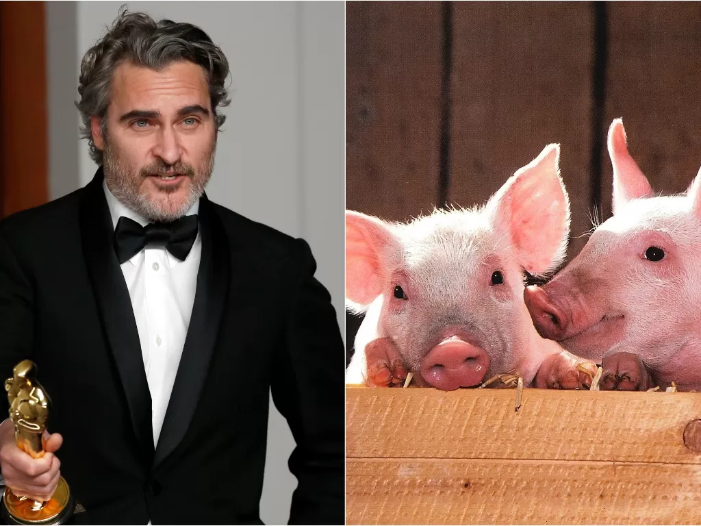 Kiri: Joaquin Phoenix (REUTERS/Lucas Jackson) Kanan: ilustrasi babi (pixabay/skeeze)