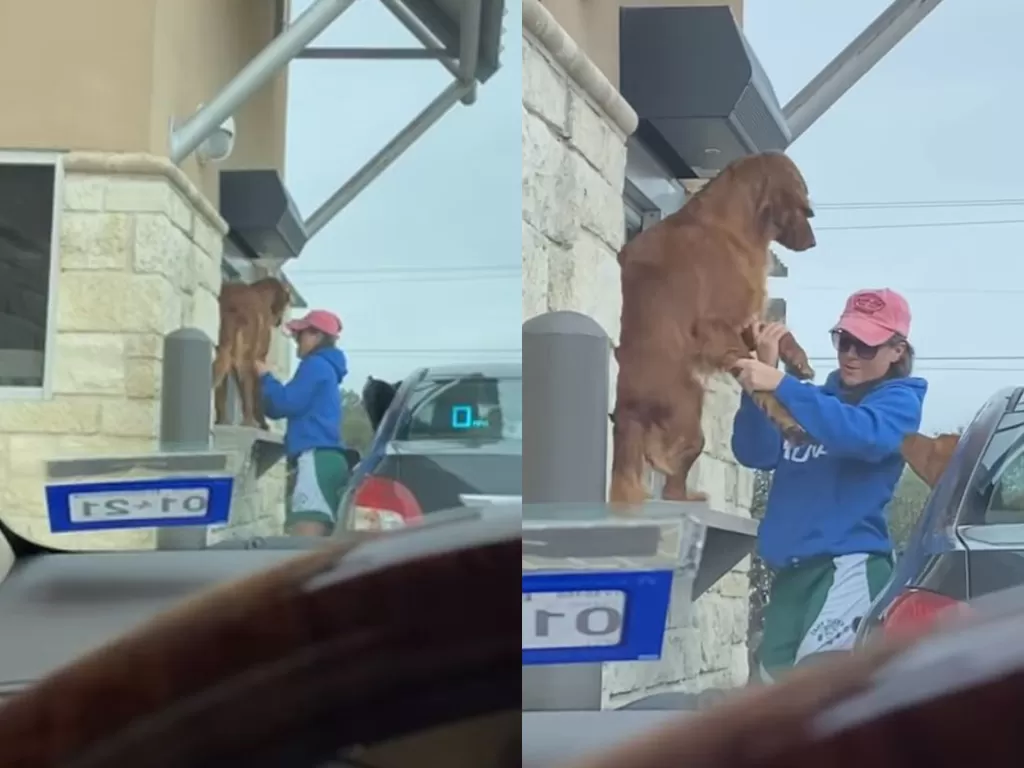 Anjing lompat ke jendela drive thru Starbucks. (Tangkapan layar/Facebook/Billie Lynn Reed)