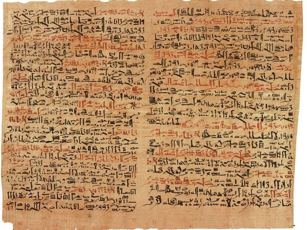 Edwin Smith Papyrus. (wikipedia.org)