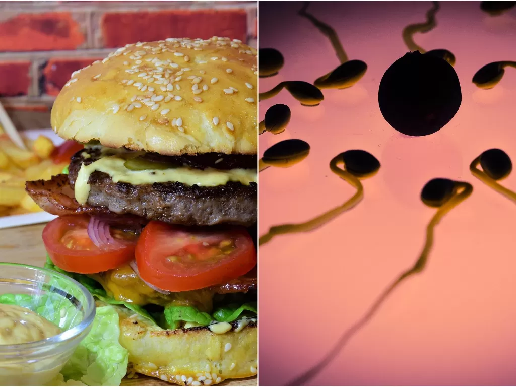 Kiri: ilustrasi makanan tidak sehat (pixabay/RitaE) Kanan: ilustrasi sperma (pixabay/Thomas Breher)