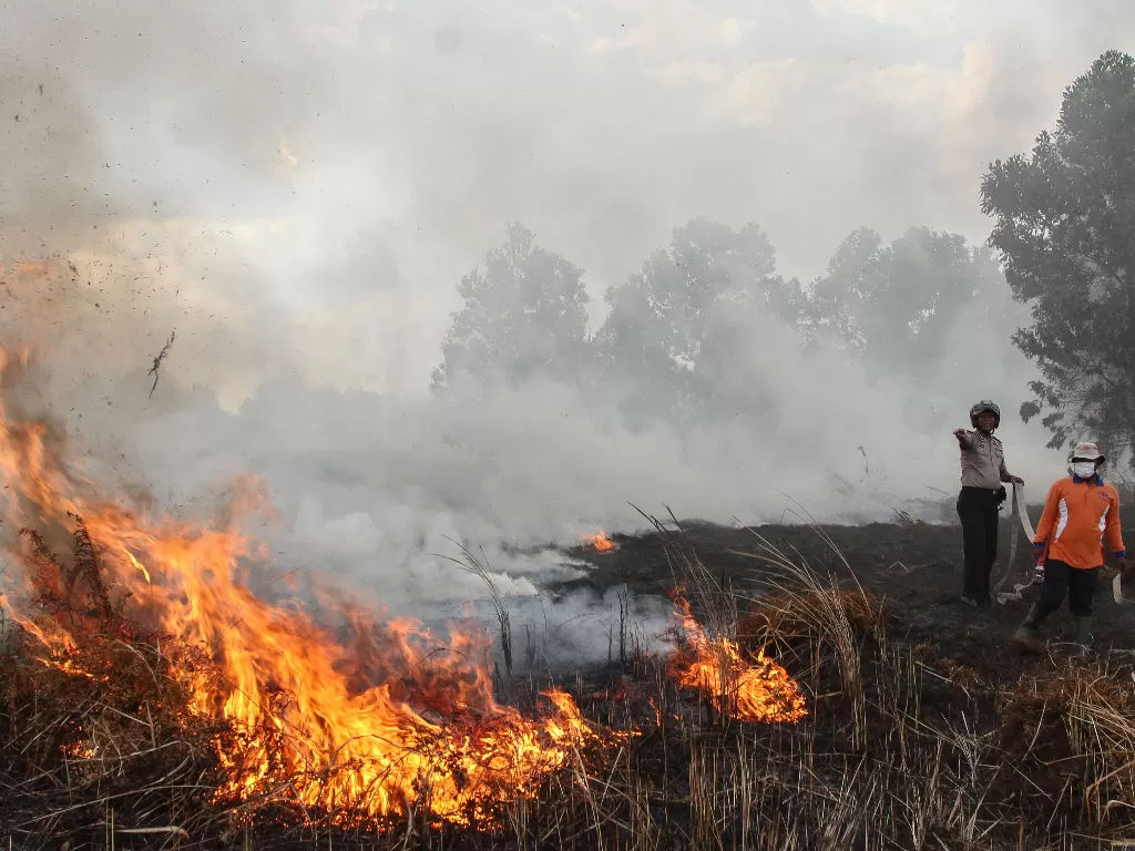 Petugas BPBD Pekanbaru dibantu personel Polsek Rumbai berusaha memadamkan api yang membakar semak belukar saat terjadi kebakaran lahan di Pekanbaru, Riau (26/2/2020). (ANTARA/Rony Muharrman)
