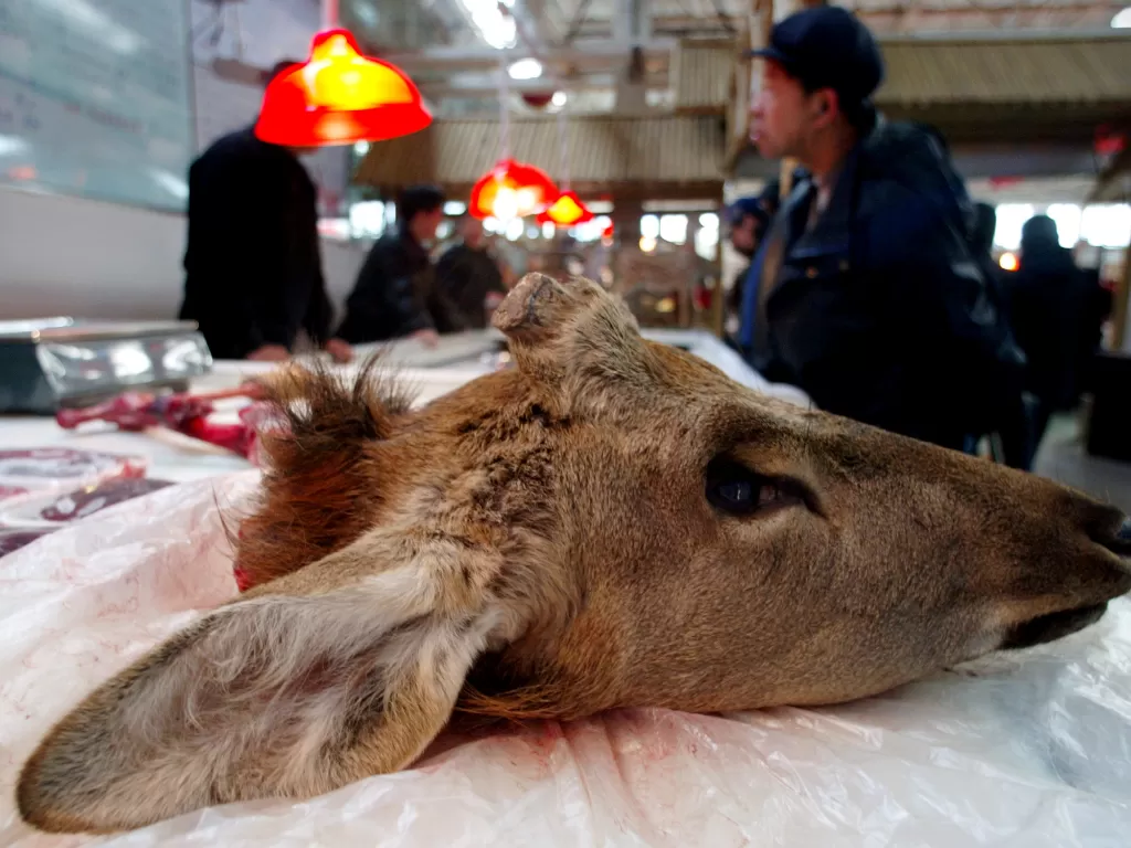Seorang pedagang menjajakan kepala rusa di sebuah pasar basah di Beijing, Tiongkok pada 26 November 2002. (REUTERS/Guang Niu)