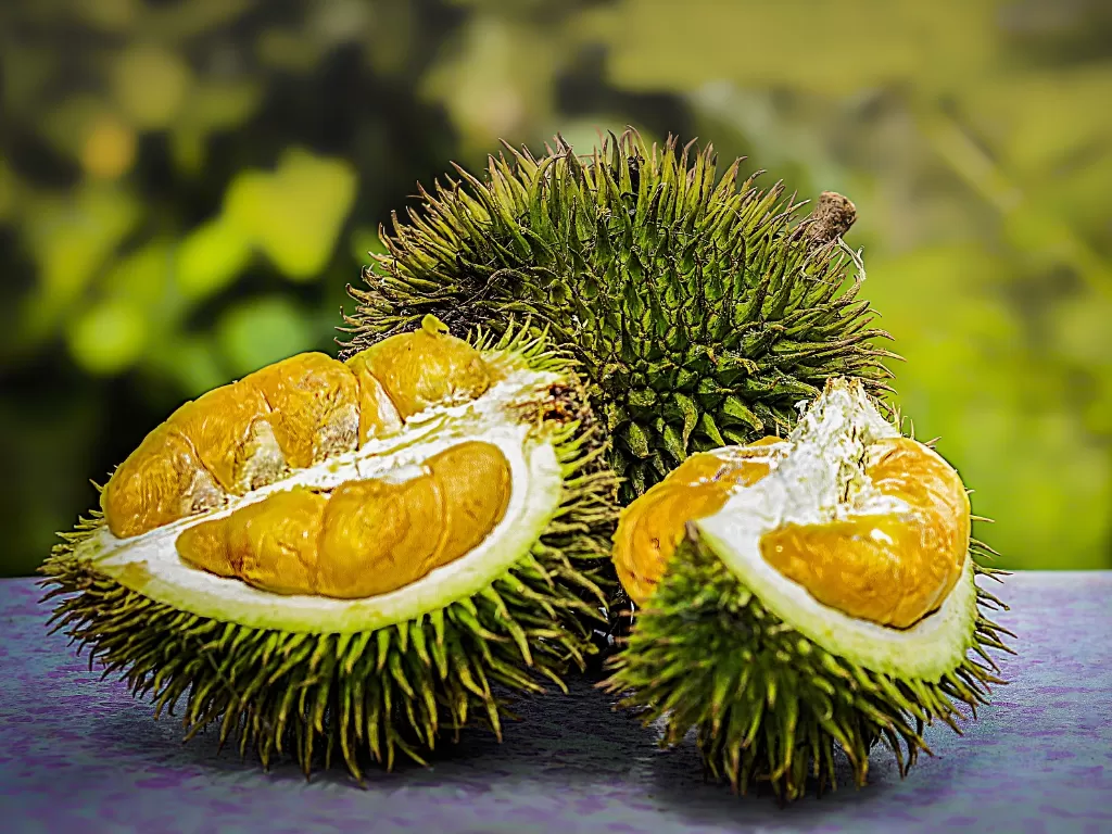 Buah durian. (photo/Ilustrasi/Pixabay)