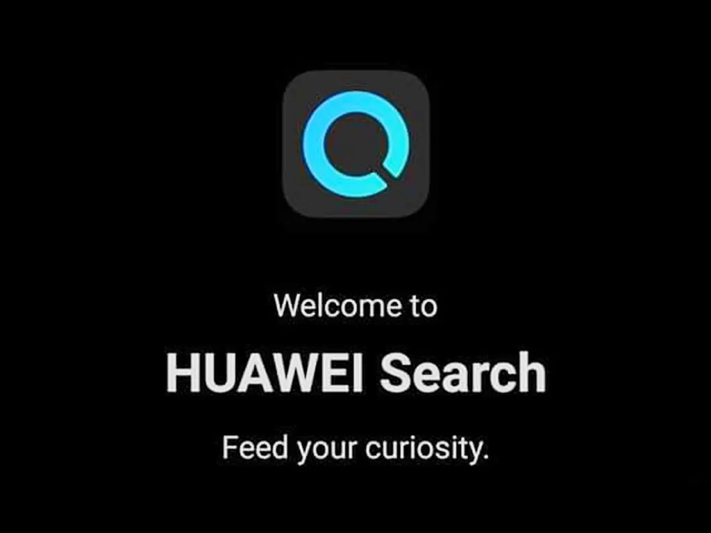 Huawei Search (photo/Huawei Central)