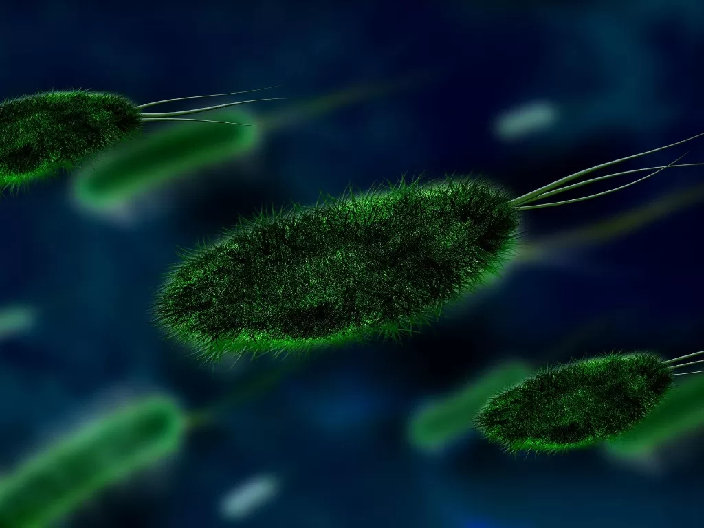Ilustrasi bakteri (Pixabay/Gerd Altmann)