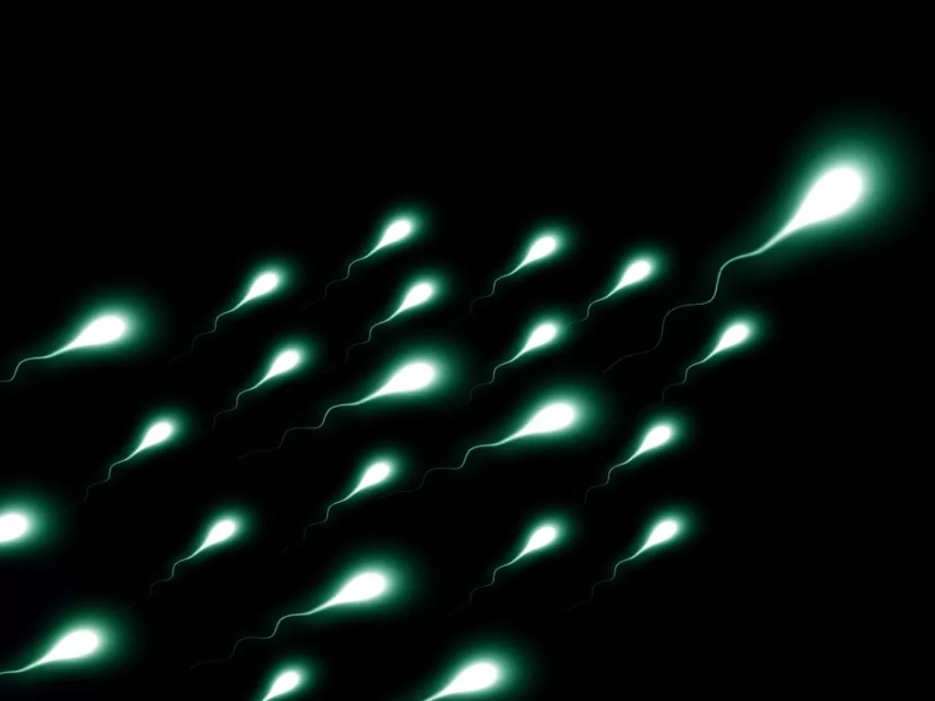 Ilustrasi Sperma (Pixaby/geralt)