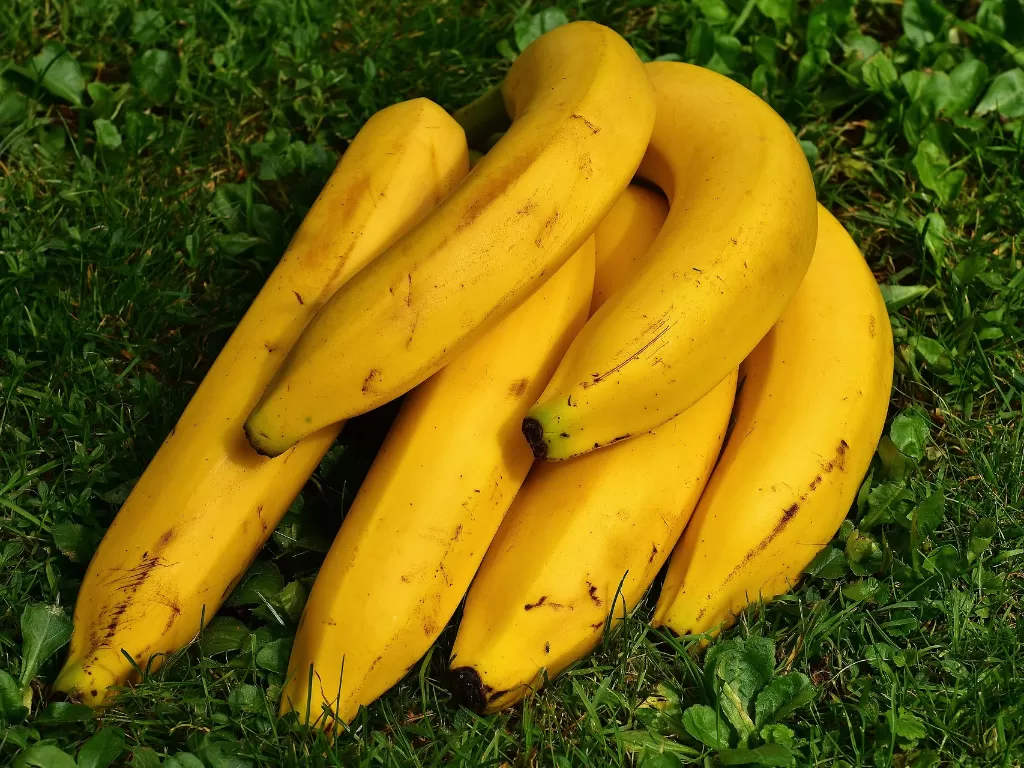 Ilustrasi pisang. (Pexels)