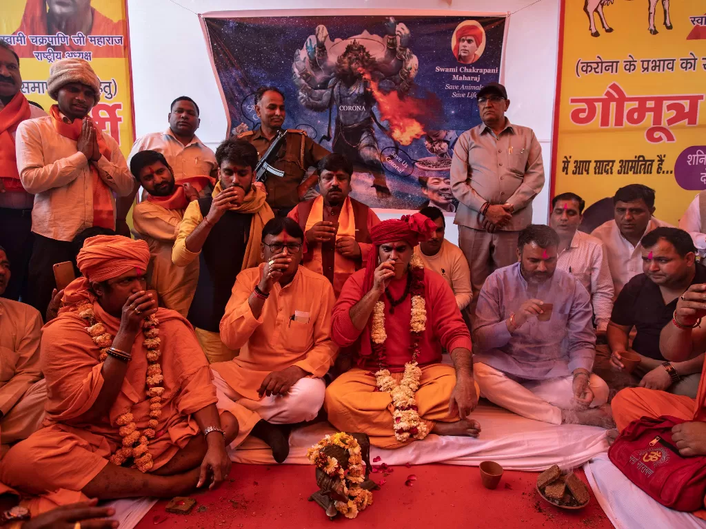 Kelompok umat Hindu India menggelar ritual minum urine sapi untuk menangkal virus corona (REUTERS/Dannish Siddiqui)