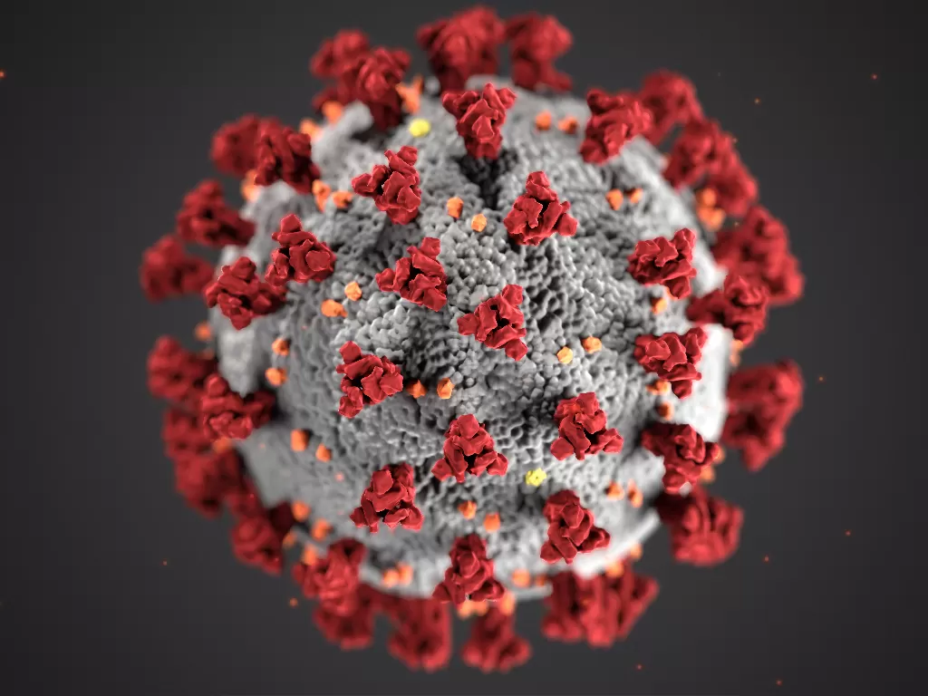 Ilustrasi virus corona (Ilustrasi/Unsplash/CDC)