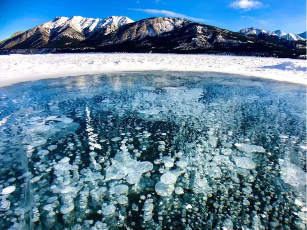  Fenomena unik gelembung-gelembung membeku  terdapat di Danau Abraham, Kanada. (cbc.ca/Wintography)