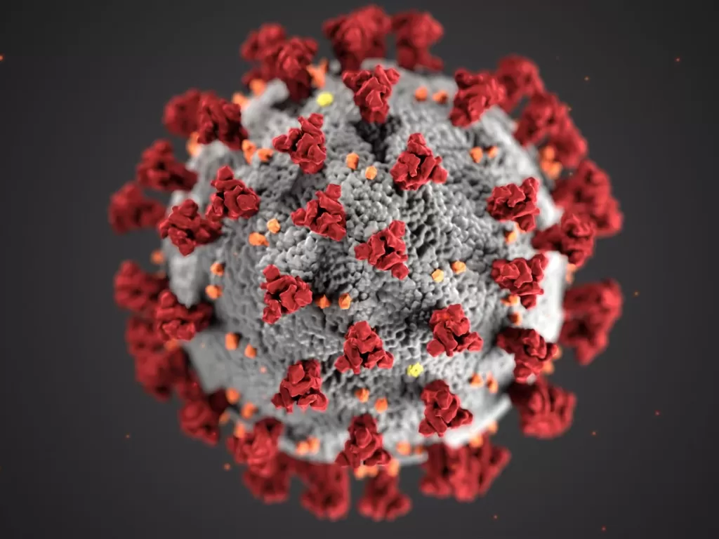 Ilustrasi virus corona. (Unsplash/CDC)