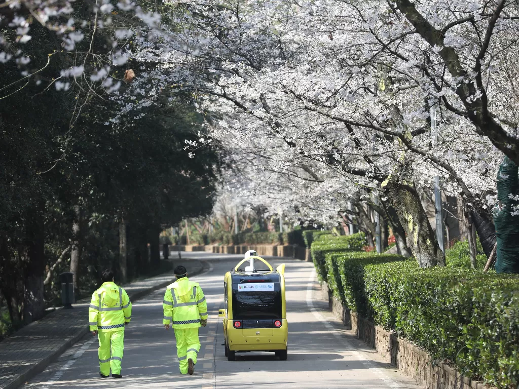 Dua petugas dalam pemasangan kamera di sejumlah titik di kawasan Universitas Wuhan untuk menayangkan secara langsung musim sakura. (China Daily via REUTERS)