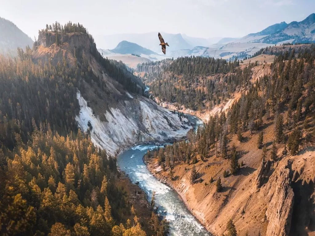Yellowstone National Park, AS. (Instagram/wildernessnation)
