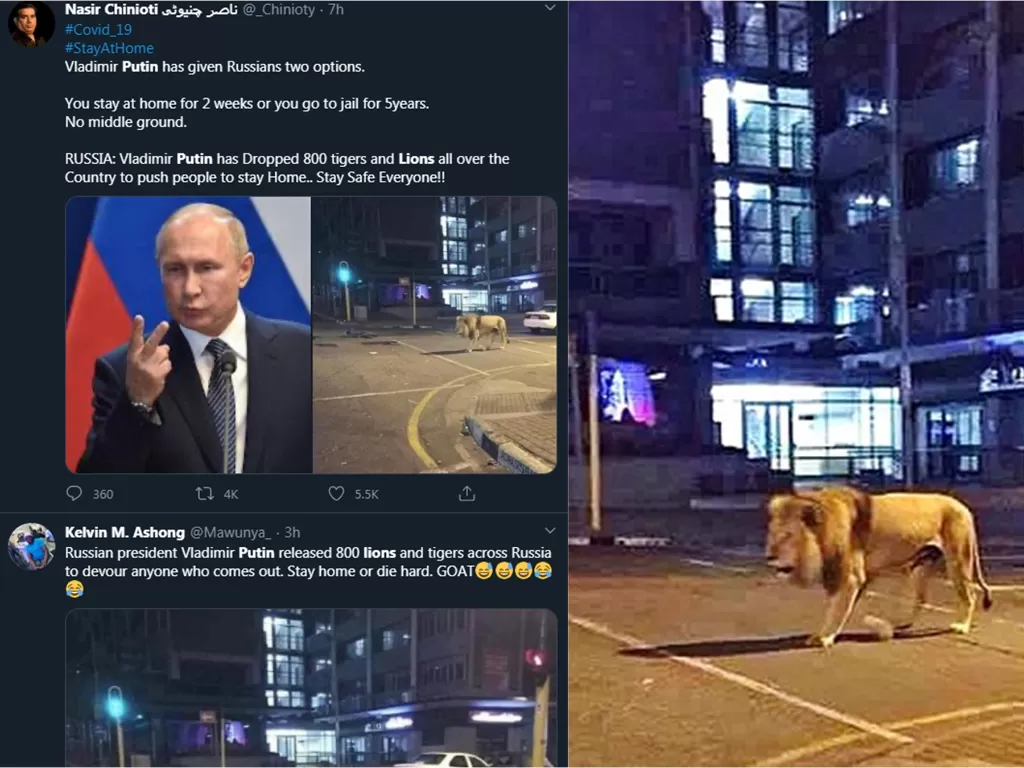 Kiri: Screenshot unggahan Vladimir Putin lepas singa / Kanan: Singa yang dilepas di Johannesburg (Caters News Agency)