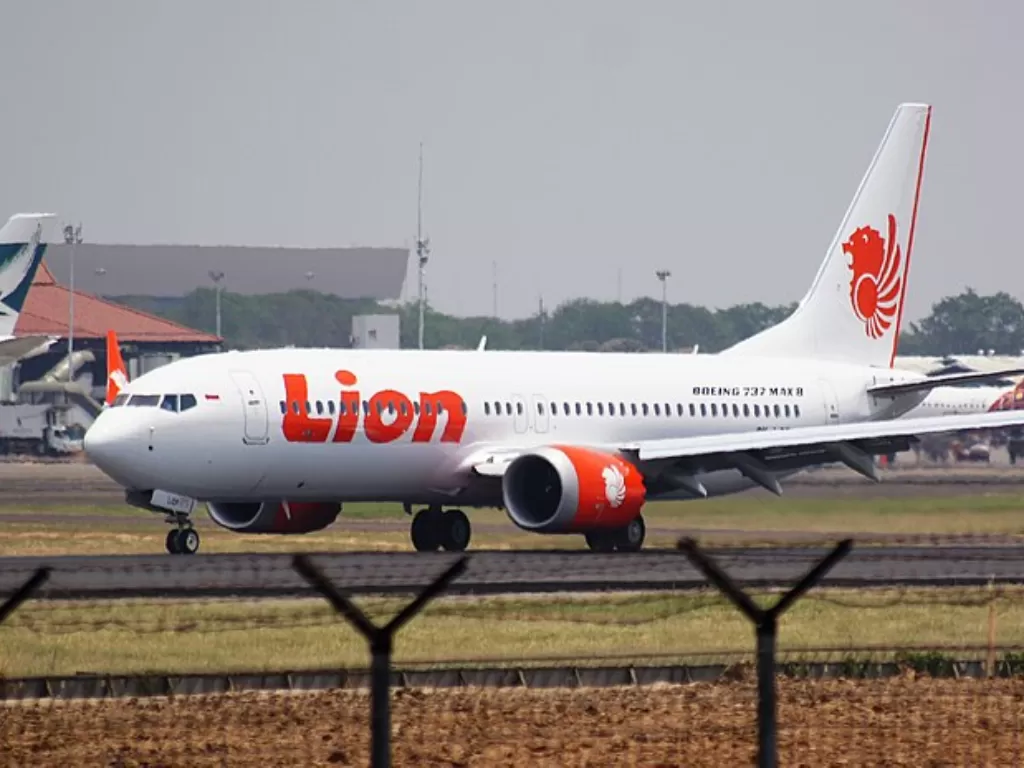 Lion Air. (Wikipedia)