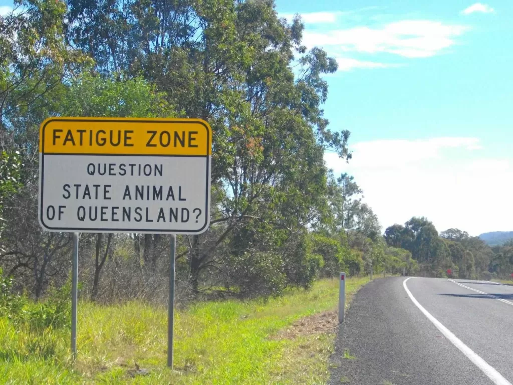 Ilustrasi jalanan yang ada di Australia. (Frasercoastchronicle)