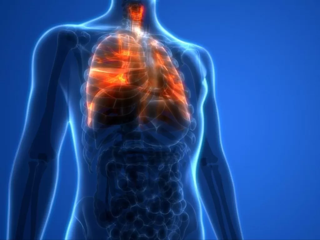 Ilustrasi kondisi paru-paru yang kotor (medicalnewstoday.com)