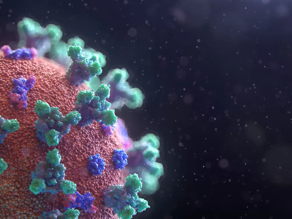 Ilustrasi virus corona (Unsplash/Fusion Medical Animation)