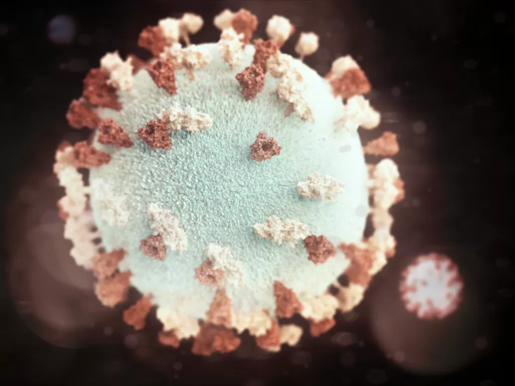 Ilustrasi virus (Unsplash/CDC)